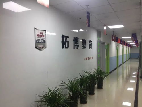 平湖市校外培訓(xùn)機(jī)構(gòu)白名單公布 聚焦藝術(shù)類營利性民辦機(jī)構(gòu)，為家長選擇保駕護(hù)航
