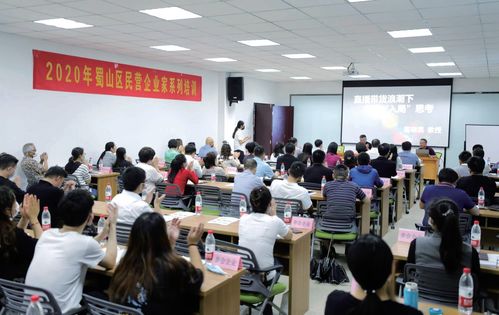 蜀山破局新生 七項經(jīng)濟指標領跑合肥城區(qū)，藝術培訓產(chǎn)業(yè)成新增長極